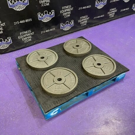 4×100 lb. Standard Olympic Iron Plates For Sale | Fitness Equipments Empire 4×100 lb. Standard Olympic Iron Plates For Sale | Fitness Equipments Empire